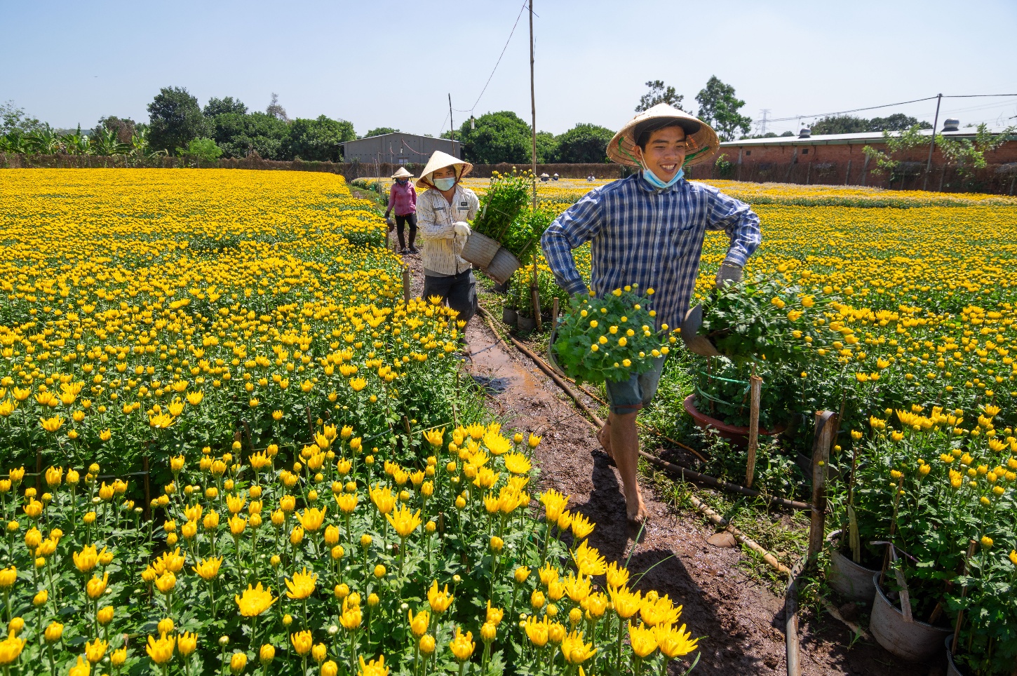tet viet - nen tang van hoa kien tao quyen luc mem quoc gia - 12